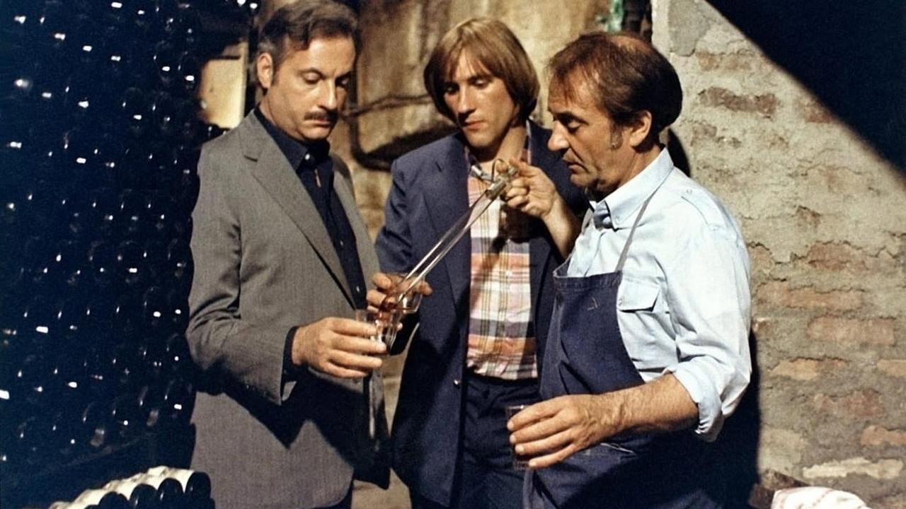 Cari amici miei...