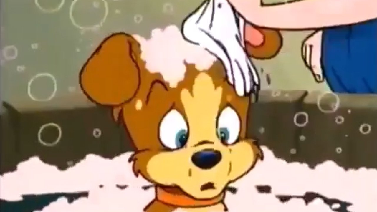 I piccoli eroi della foresta