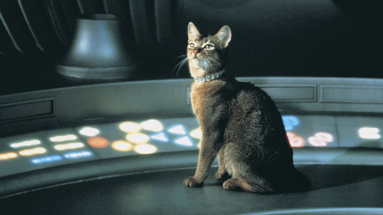 Il gatto venuto dallo spazio
