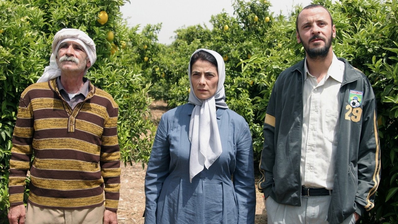 Il giardino di limoni
