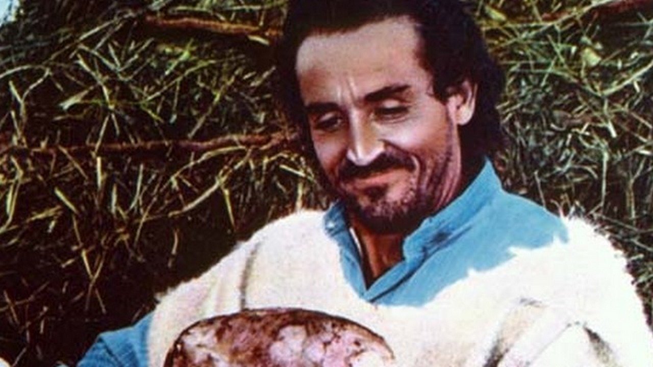 Il Profeta