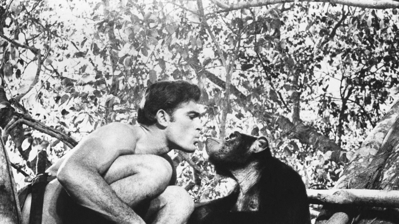 Tarzan nella valle dell'oro