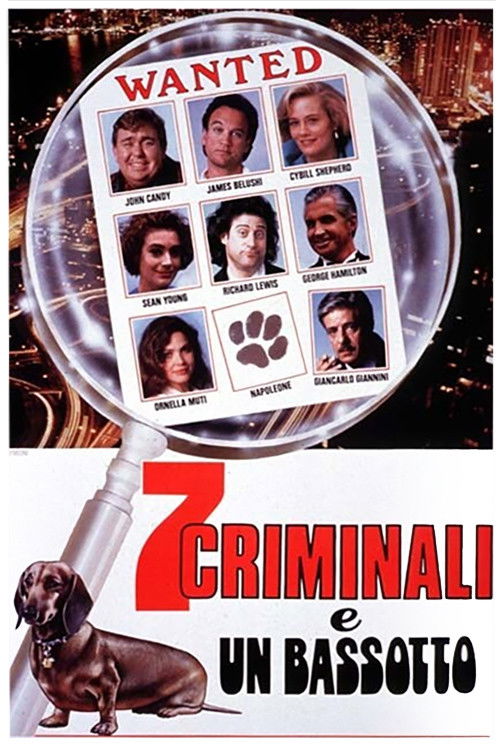 Locandina di 7 criminali e un bassotto