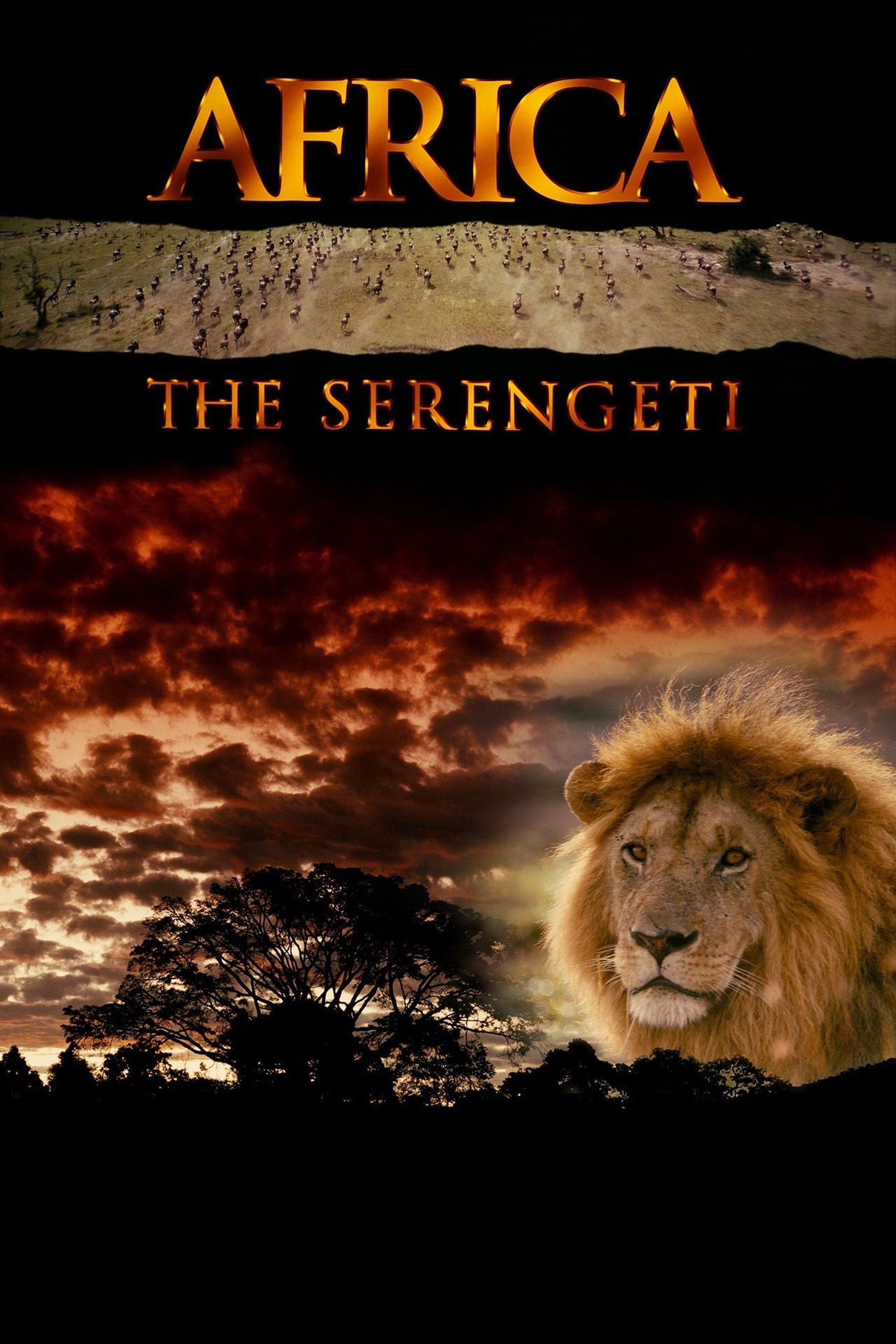 Locandina di Africa: The Serengeti