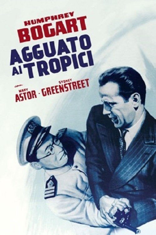 Locandina di Agguato ai tropici