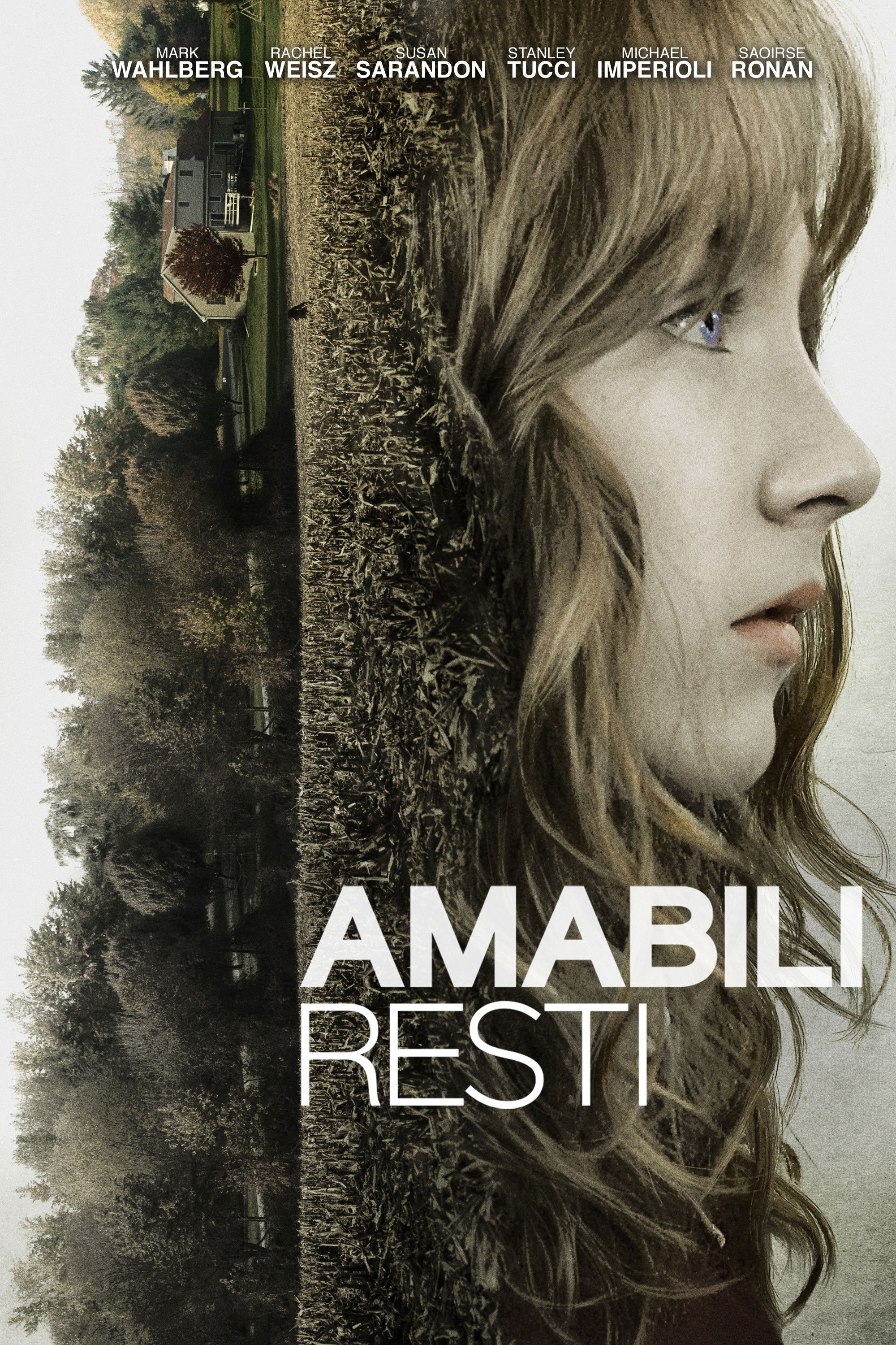 Locandina di Amabili resti