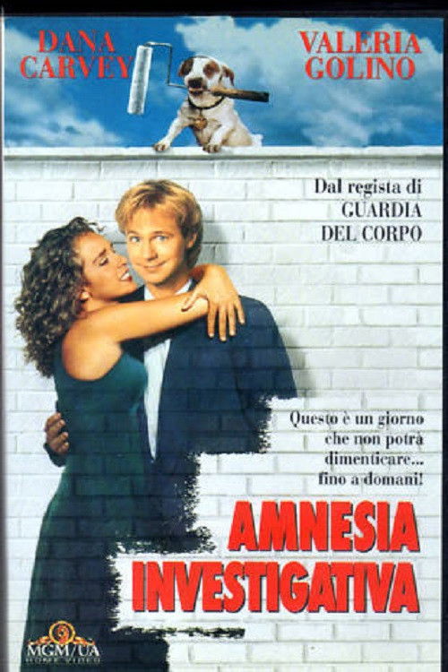 Locandina di Amnesia investigativa