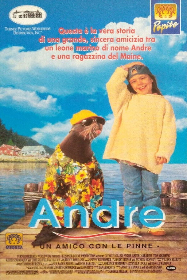 Locandina di Andre - Un amico con le pinne