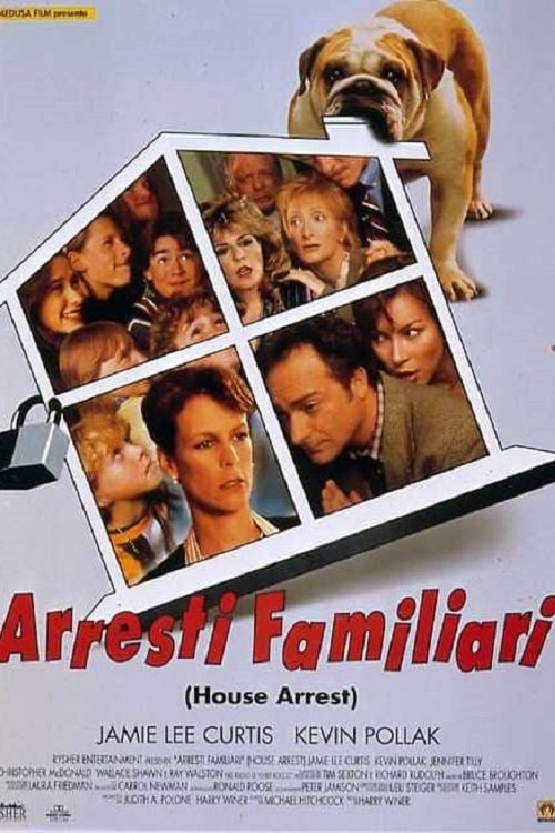 Locandina di Arresti familiari