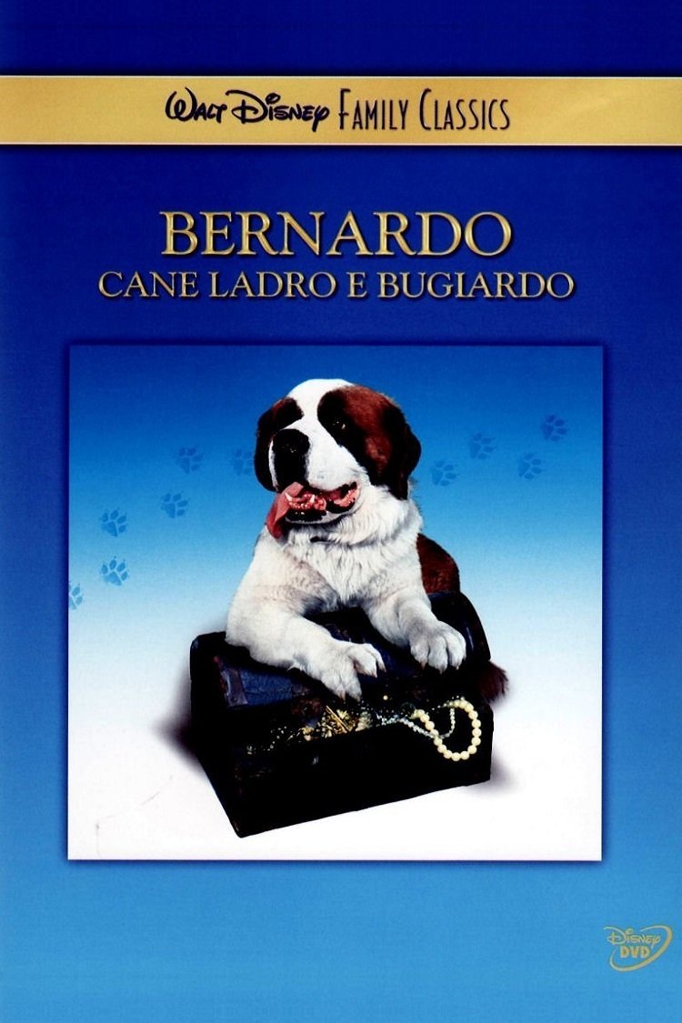 Locandina di Bernardo, cane ladro e bugiardo