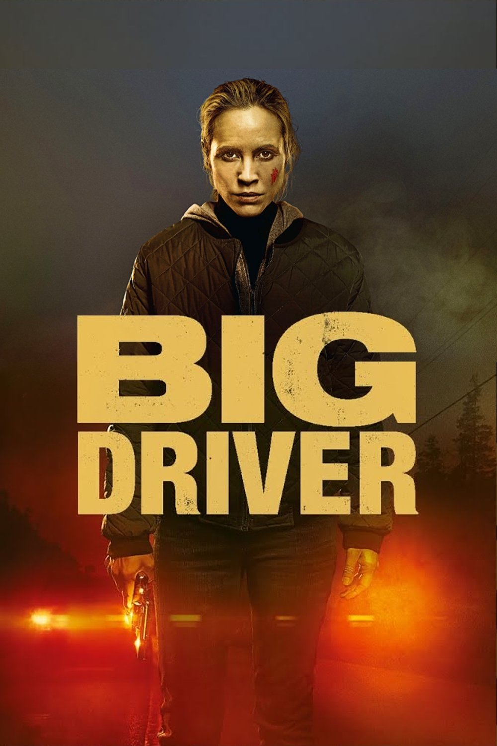 Locandina di Big Driver