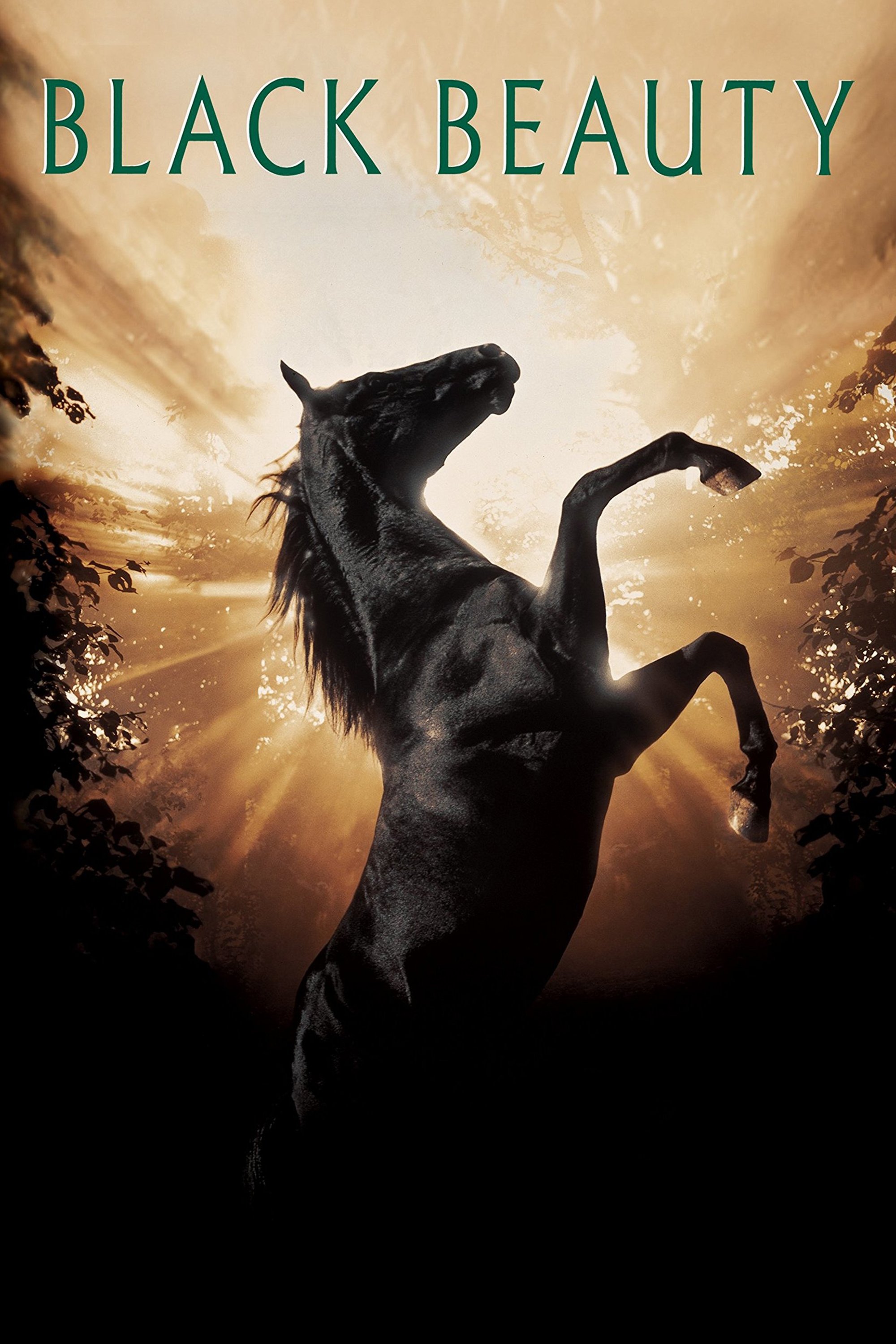 Locandina di Black Beauty