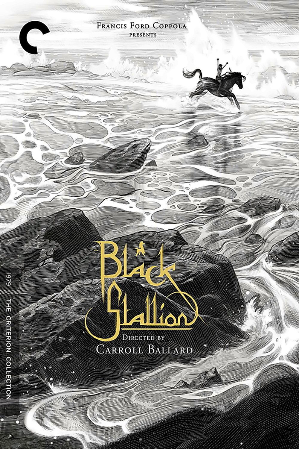 Locandina di Black Stallion