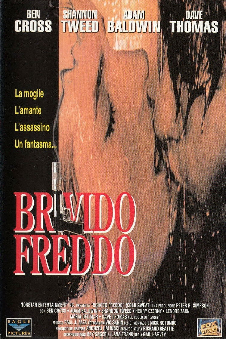 Locandina di Brivido freddo