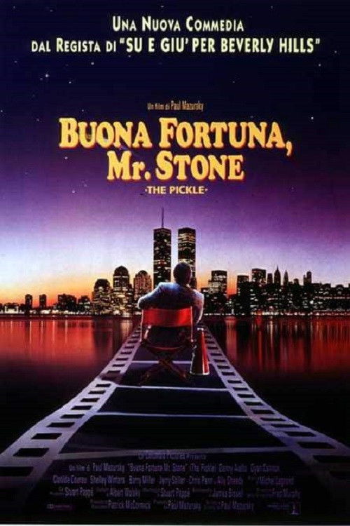 Locandina di Buona fortuna Mr. Stone