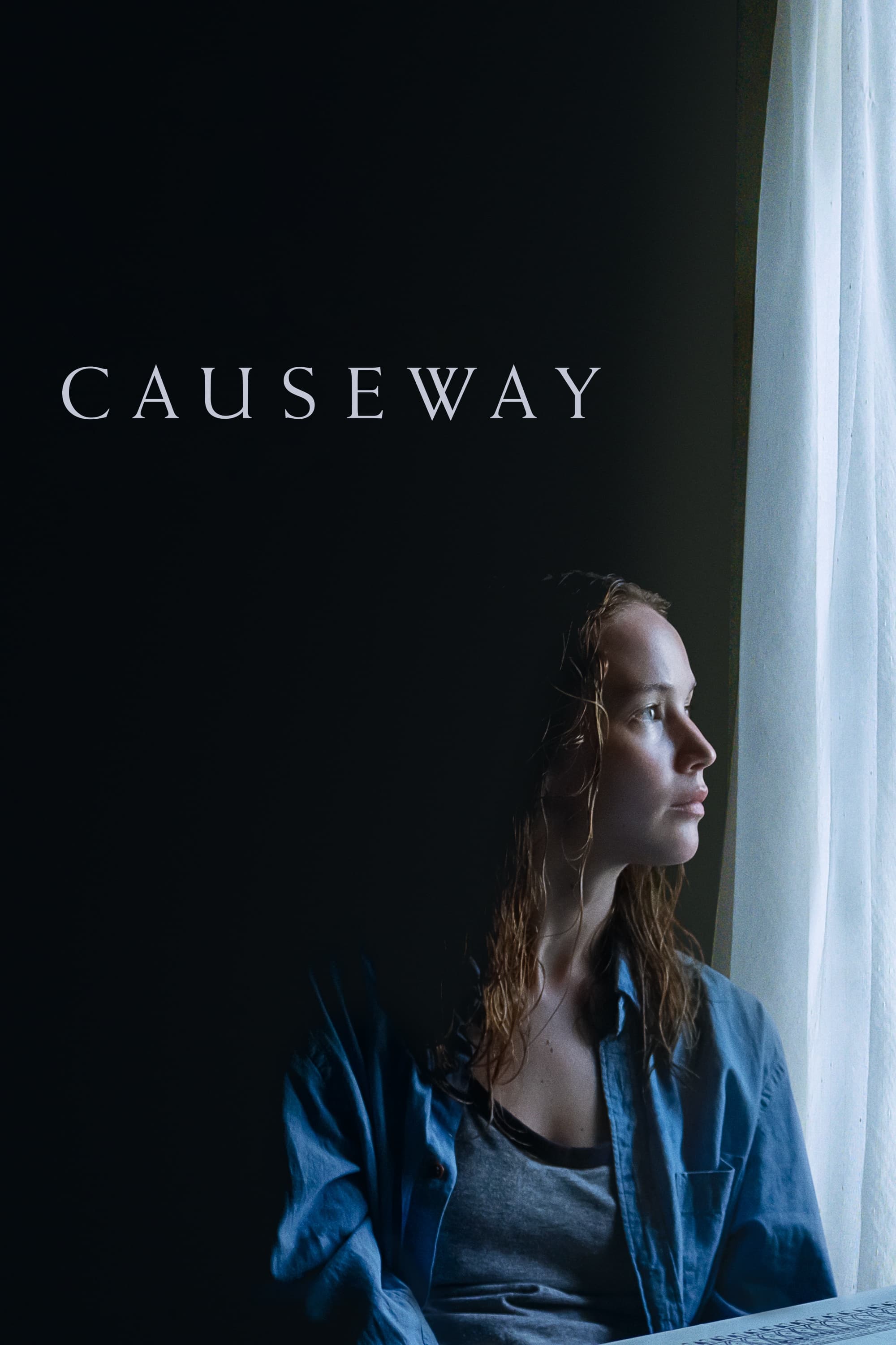 Locandina di Causeway