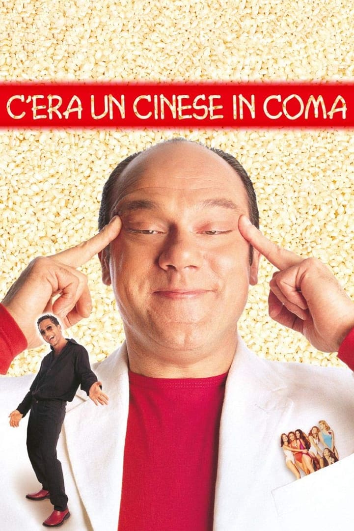 Locandina di C'era un cinese in coma
