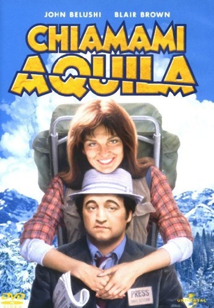 Locandina di Chiamami aquila