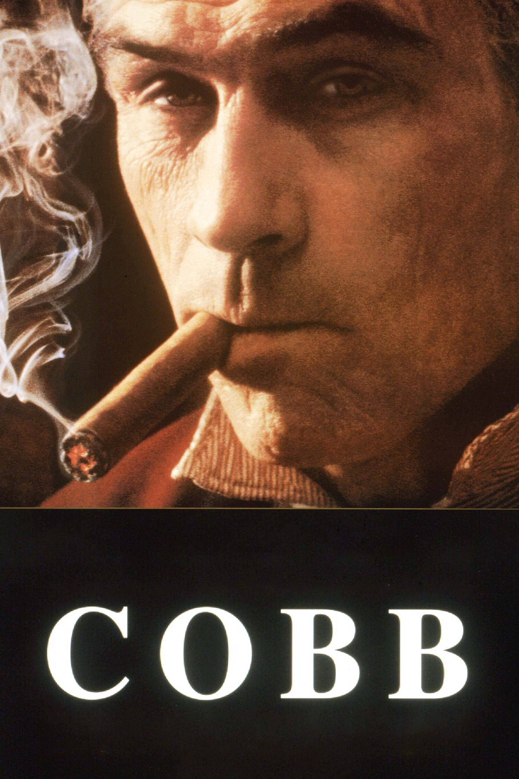 Locandina di Cobb
