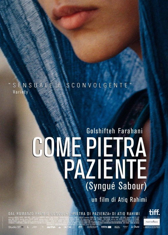 Locandina di Come pietra paziente