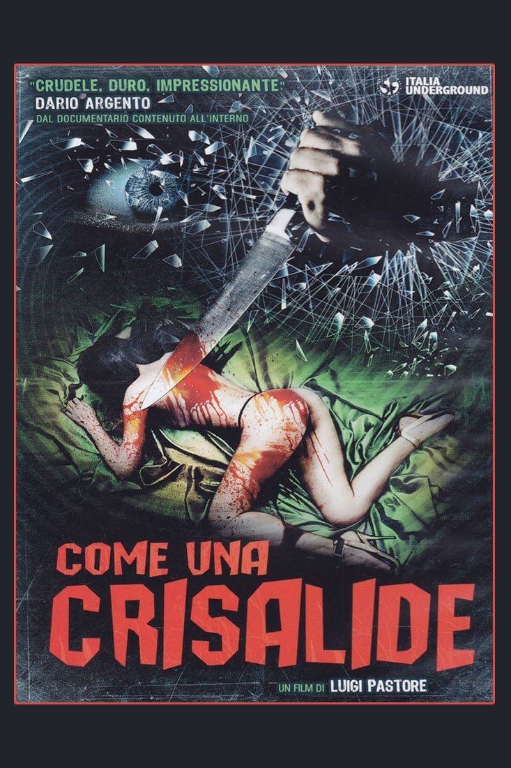 Locandina di Come una crisalide