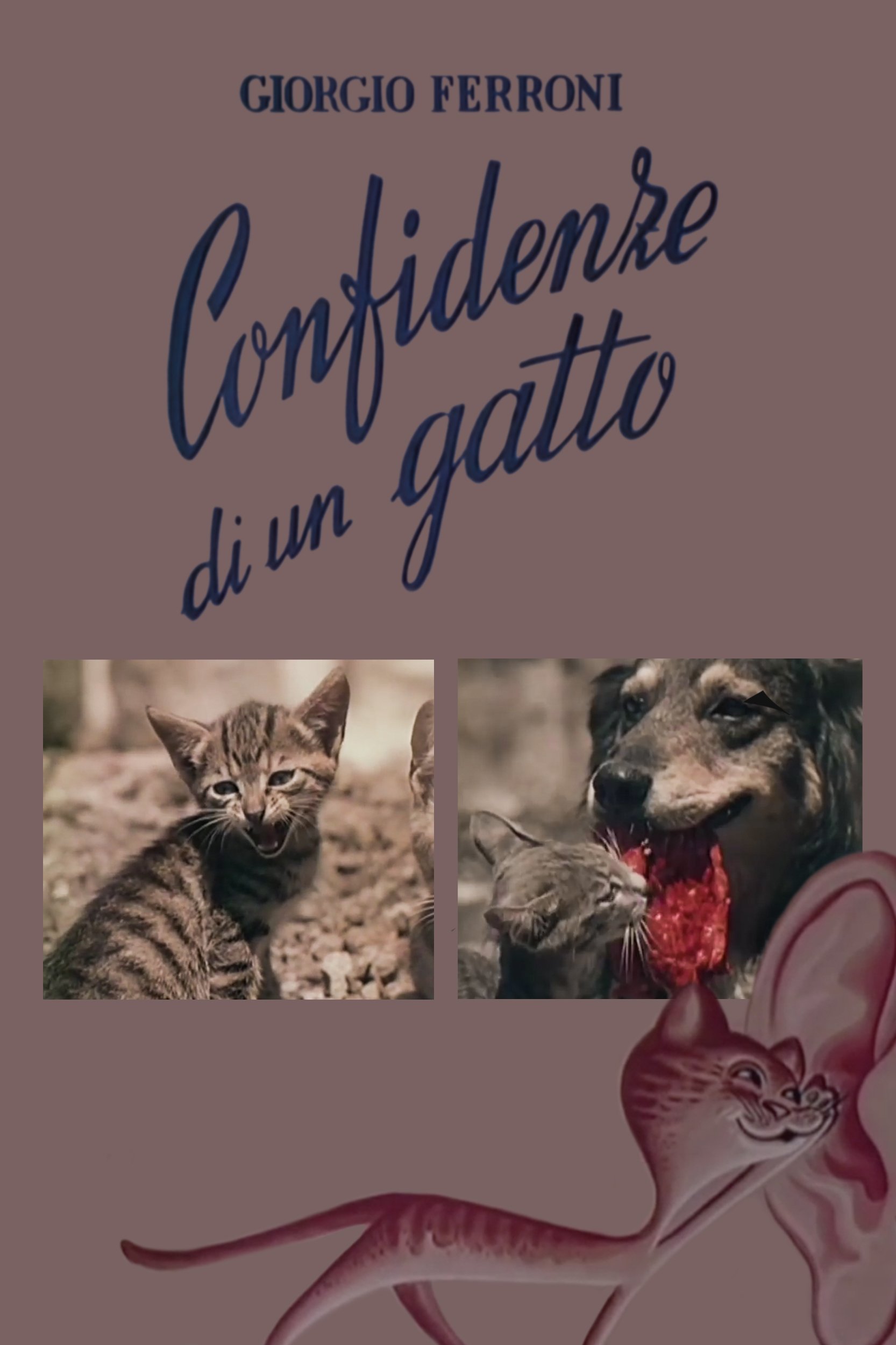 Locandina di Confidenze di un gatto