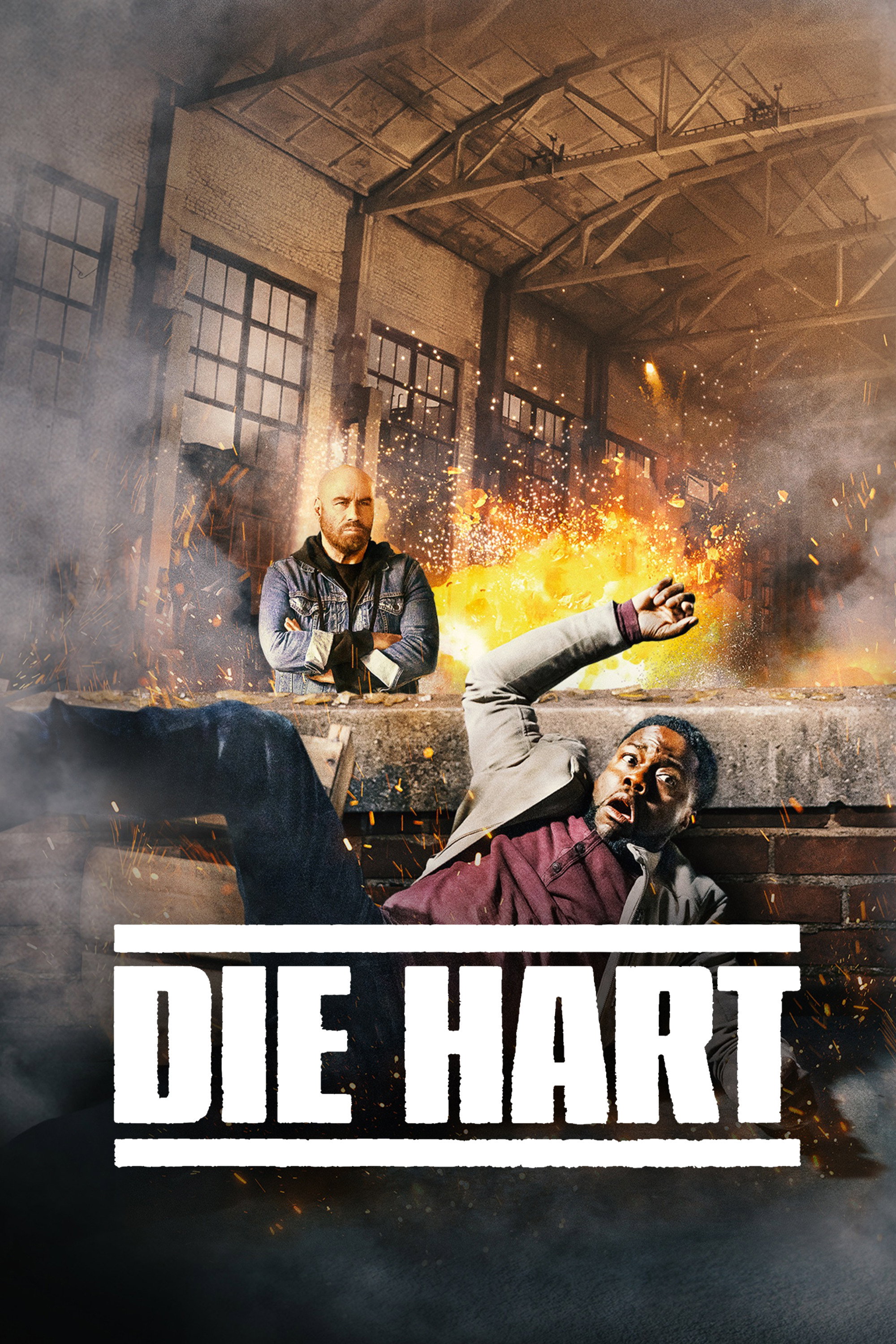 Locandina di Die Hart