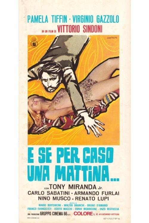 Locandina di E se per caso una mattina...