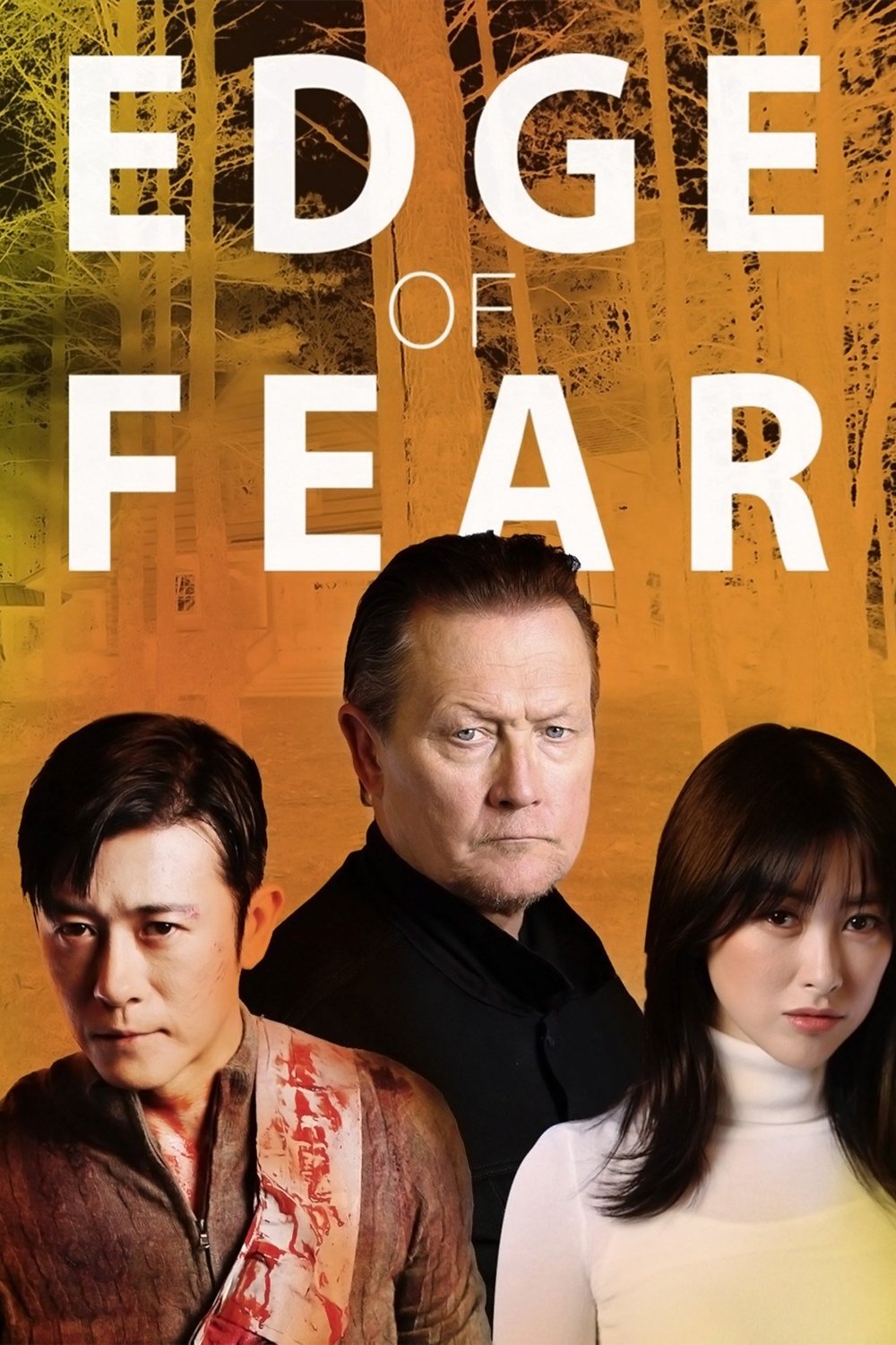 Locandina di Edge of Fear