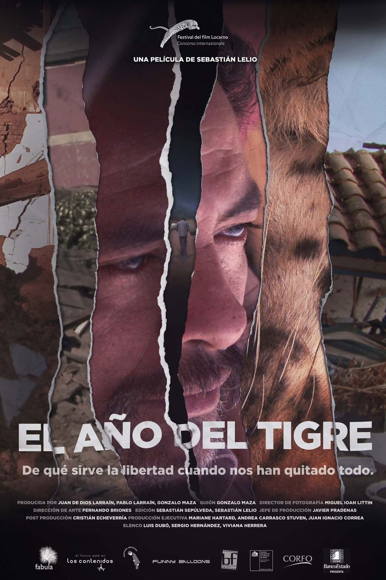 Locandina di El año del tigre