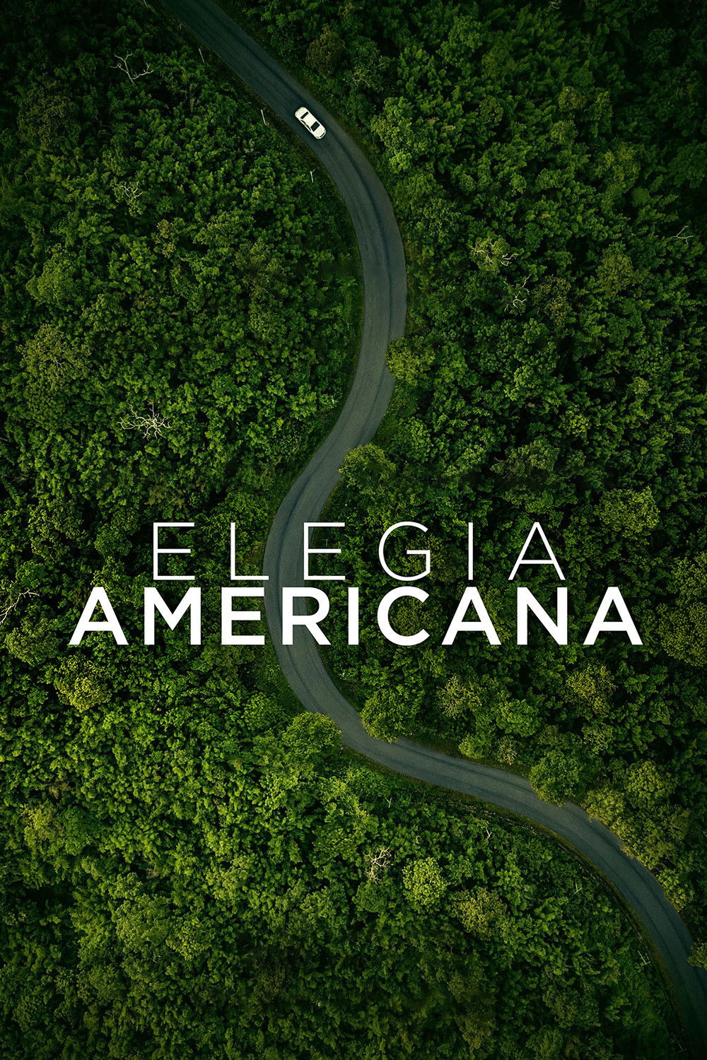 Locandina di Elegia americana