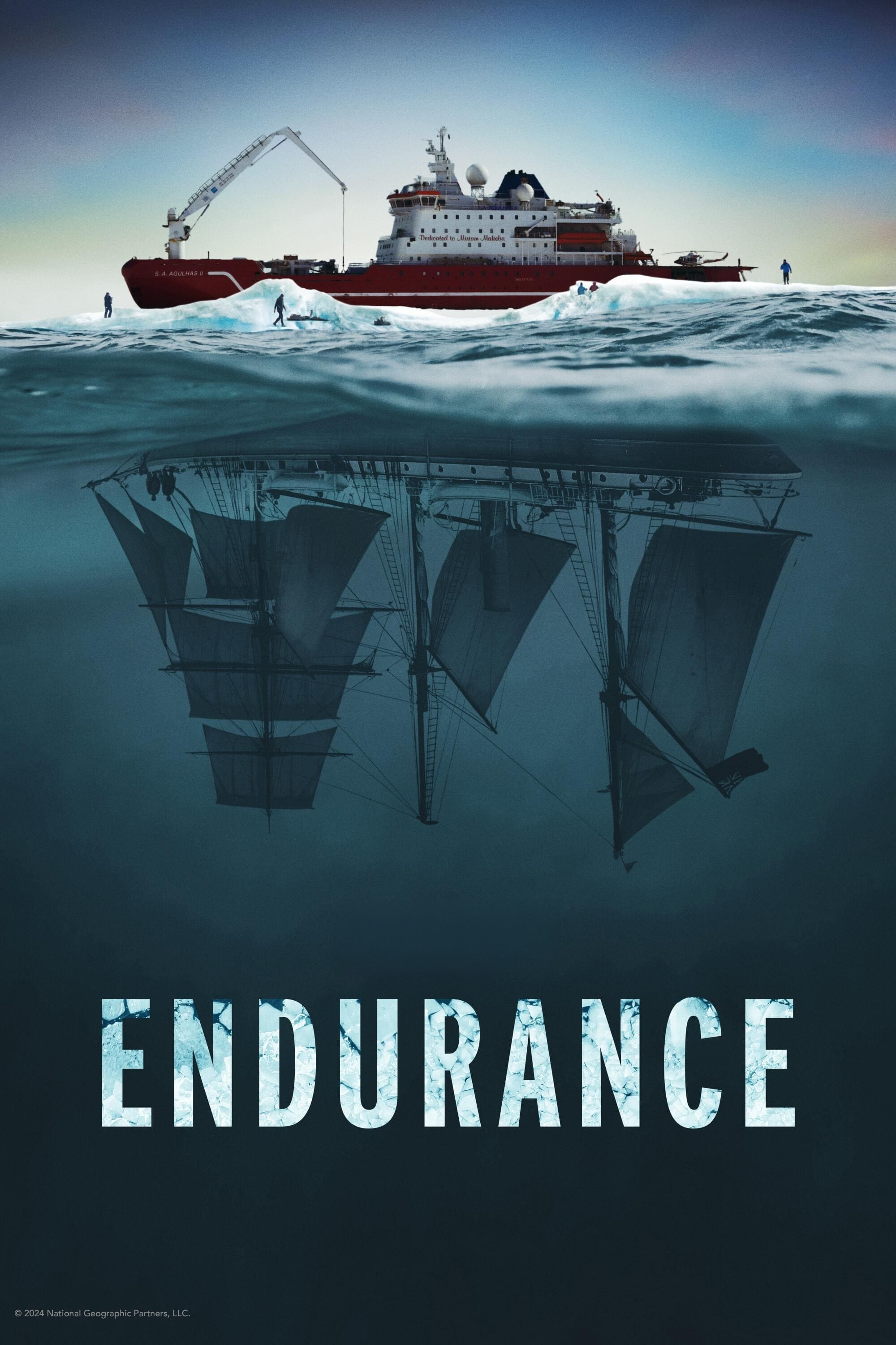 Locandina di Endurance