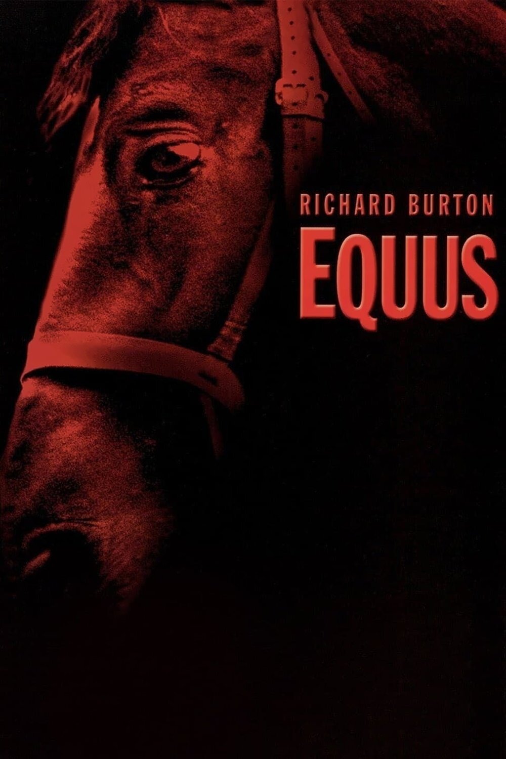 Locandina di Equus