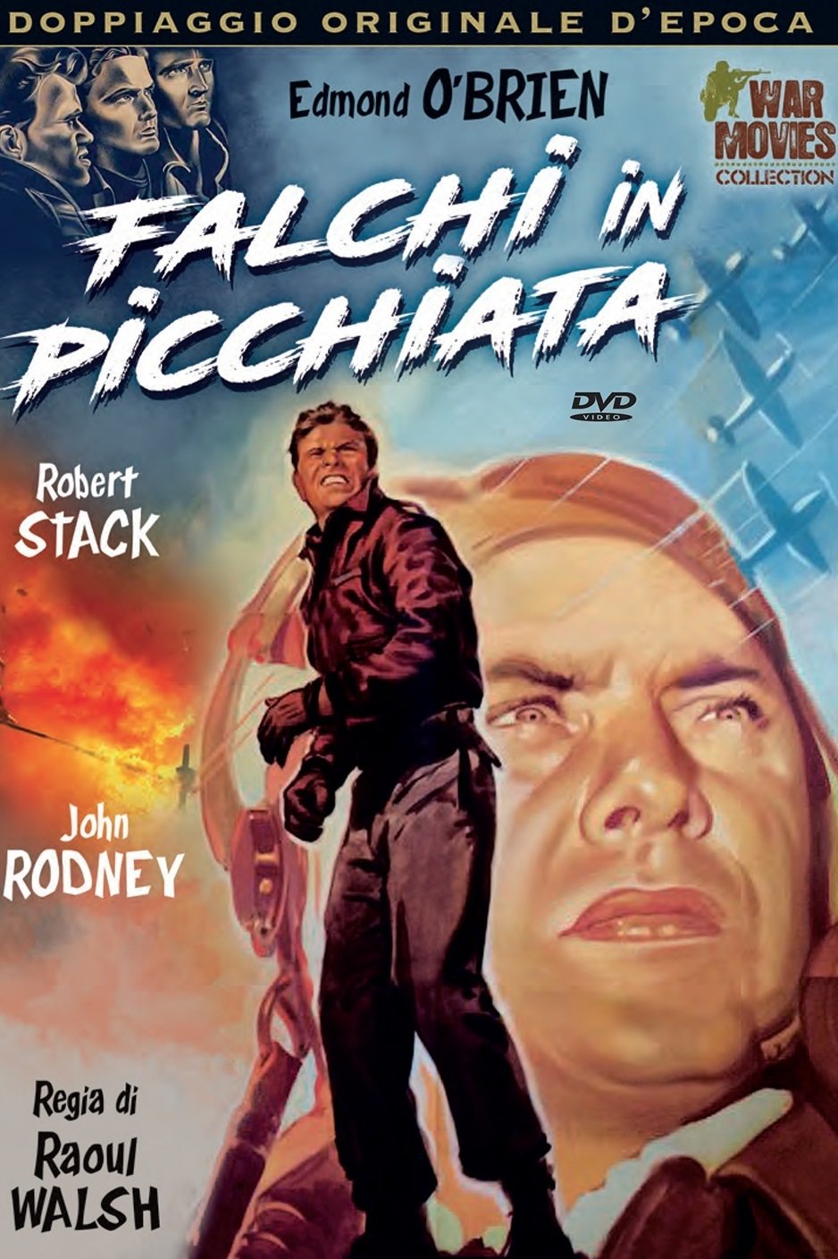 Locandina di Falchi in picchiata