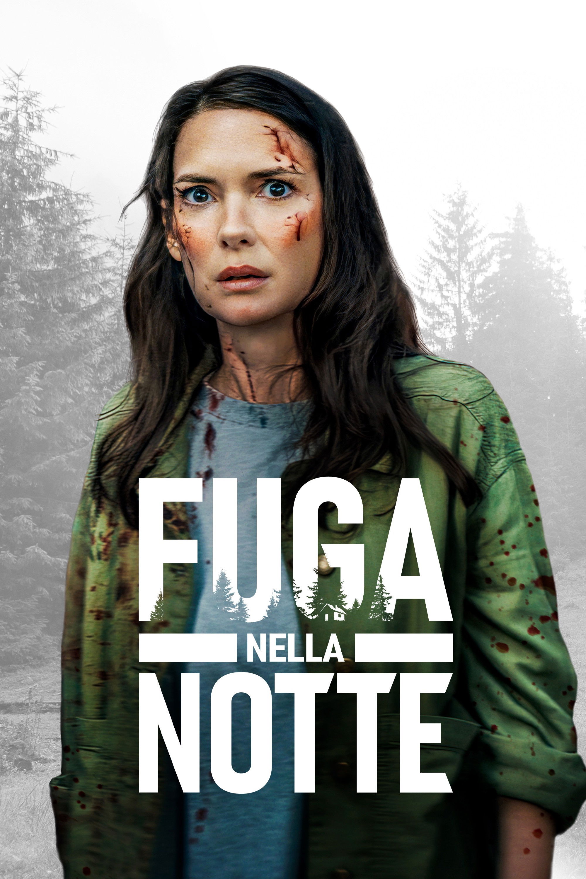 Locandina di Fuga nella notte