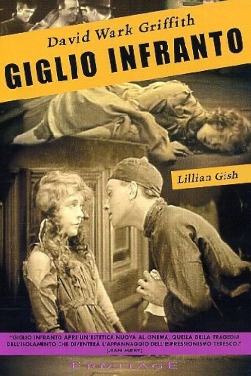 Locandina di Giglio infranto