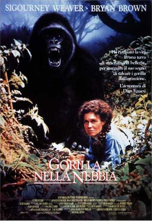 Locandina di Gorilla nella nebbia
