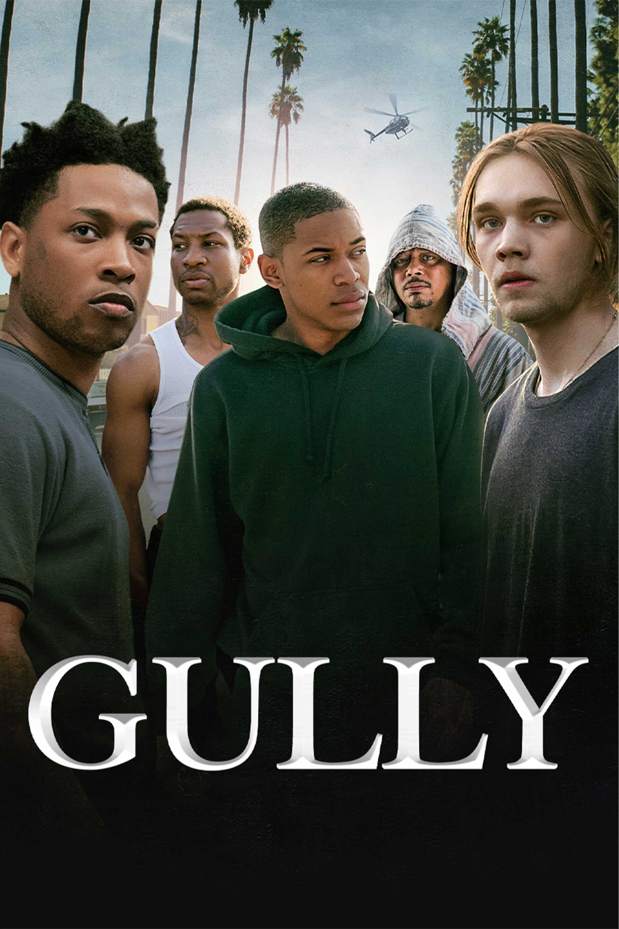 Locandina di Gully
