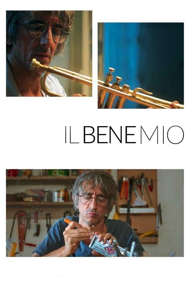 Locandina di Il bene mio
