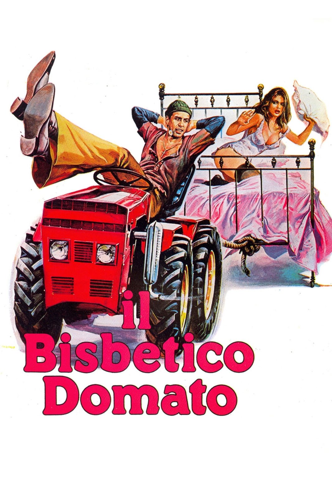 Locandina di Il bisbetico domato
