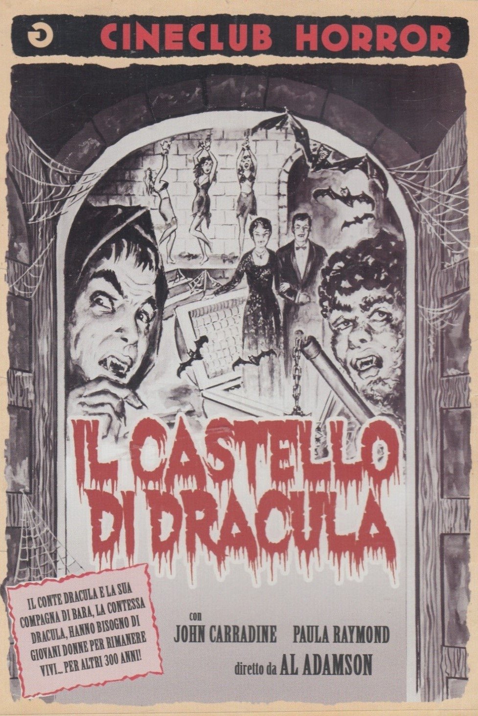 Locandina di Il castello di Dracula