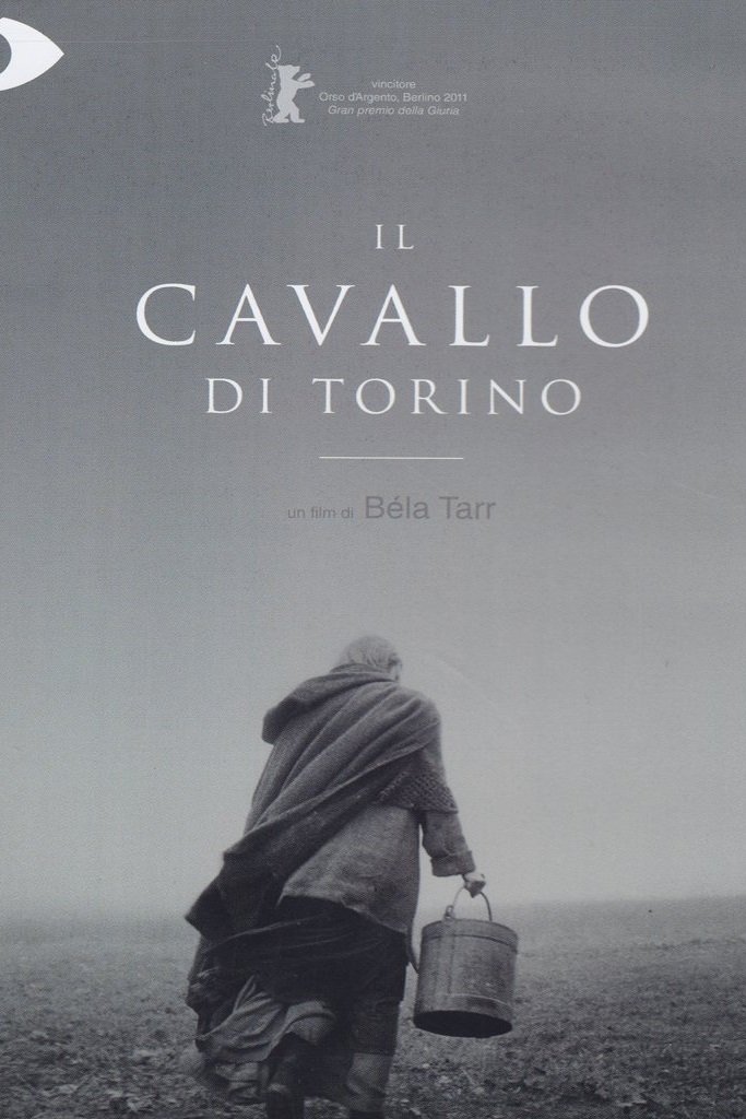 Locandina di Il cavallo di Torino