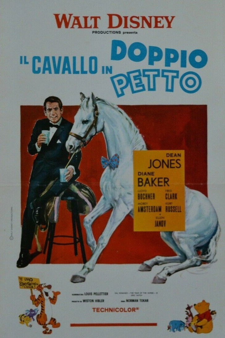 Locandina di Il cavallo in doppiopetto