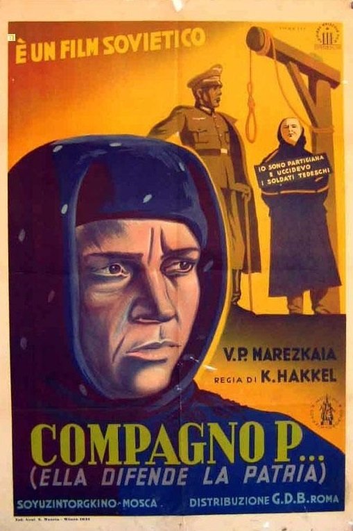 Locandina di Il compagno P
