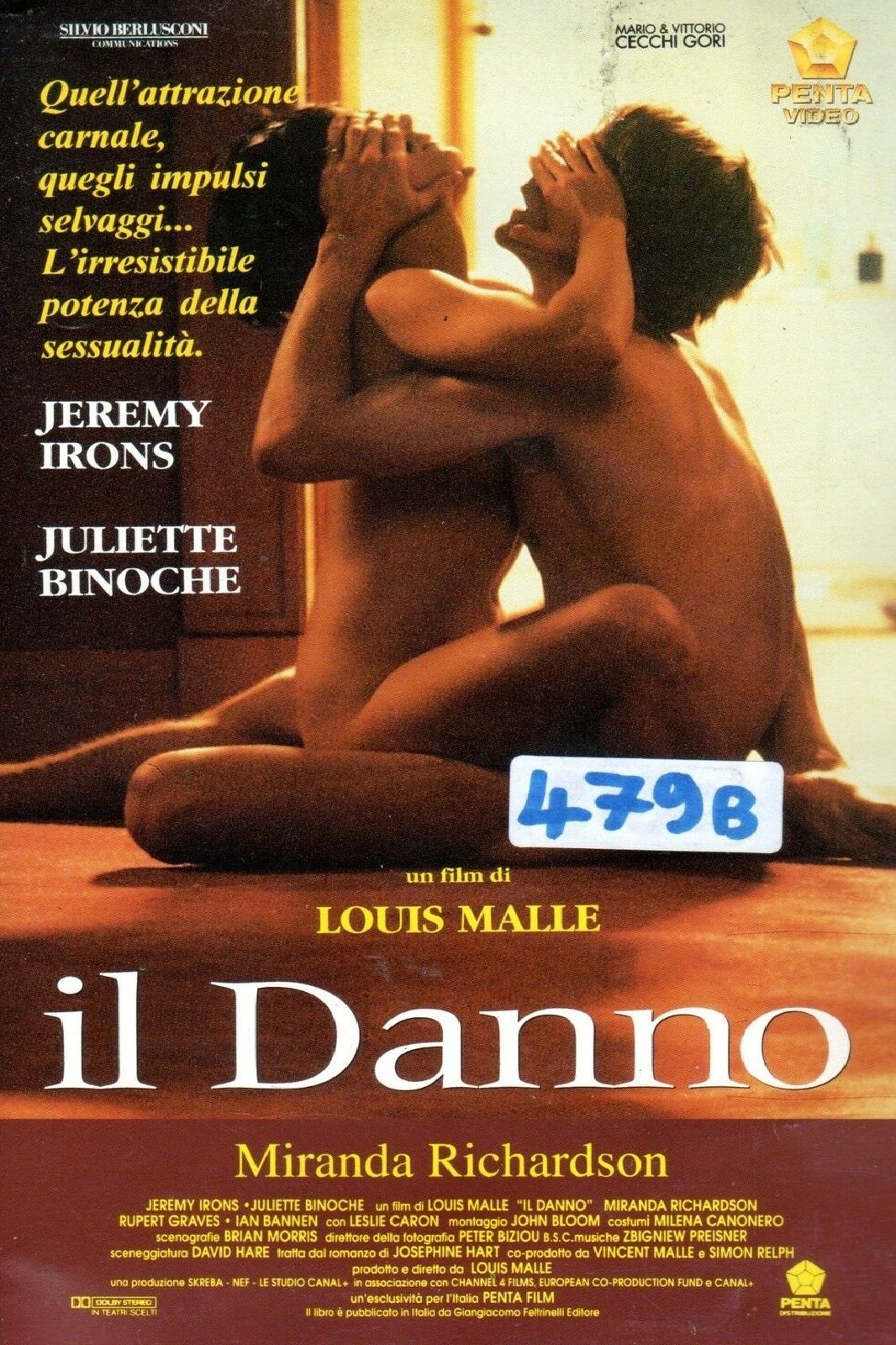 Locandina di Il danno