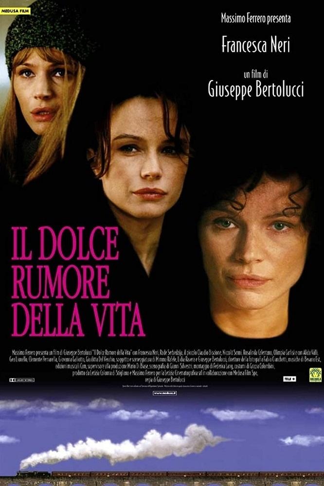 Locandina di Il dolce rumore della vita