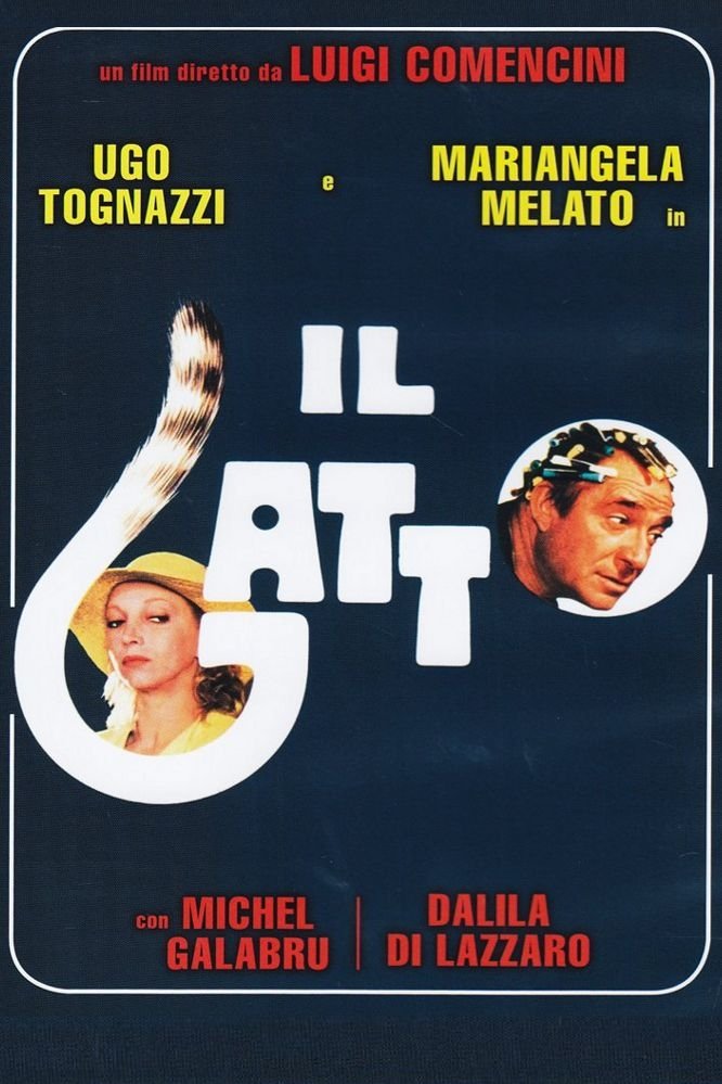 Locandina di Il gatto