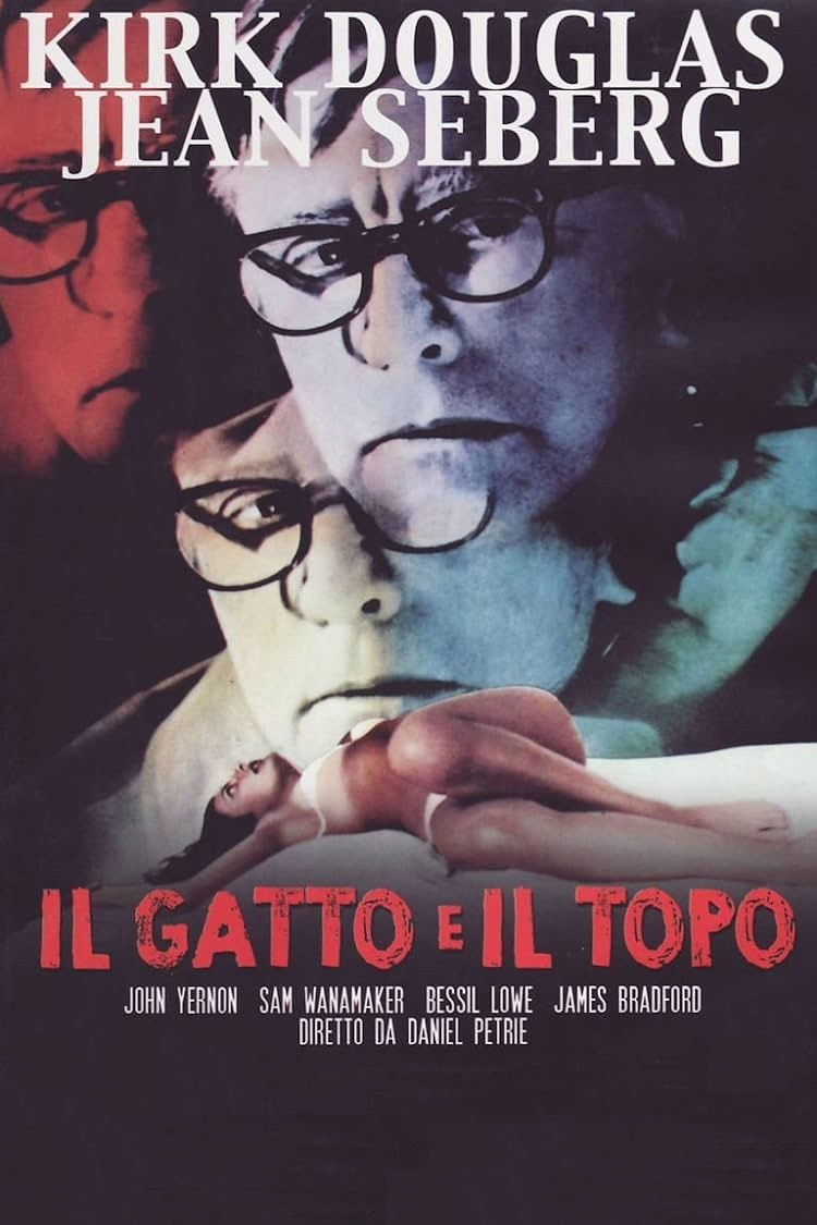 Locandina di Il gatto e il topo