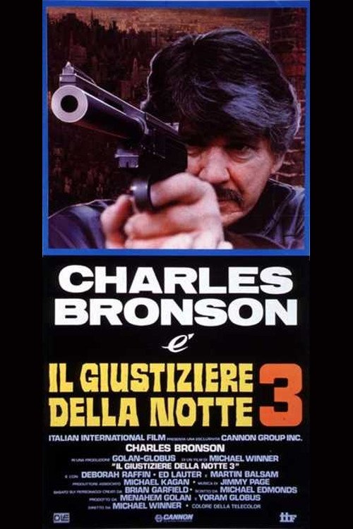 Locandina di Il giustiziere della notte 3