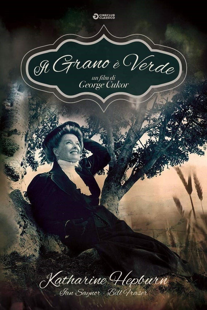 Locandina di Il grano è verde